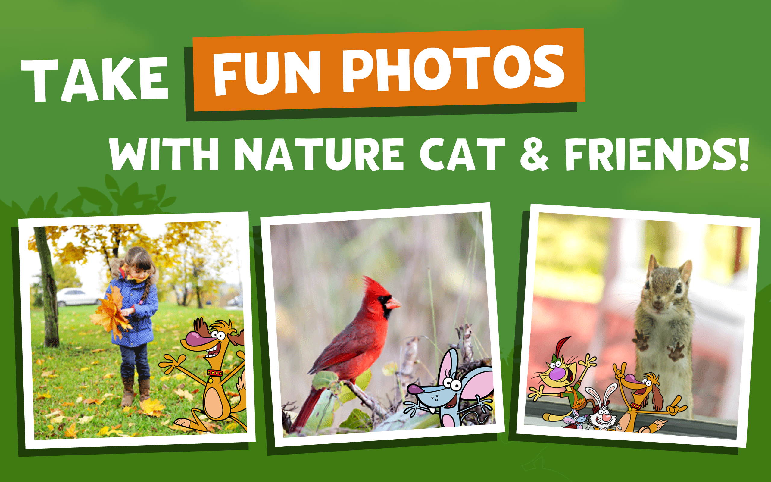 Promo showing photos of birds