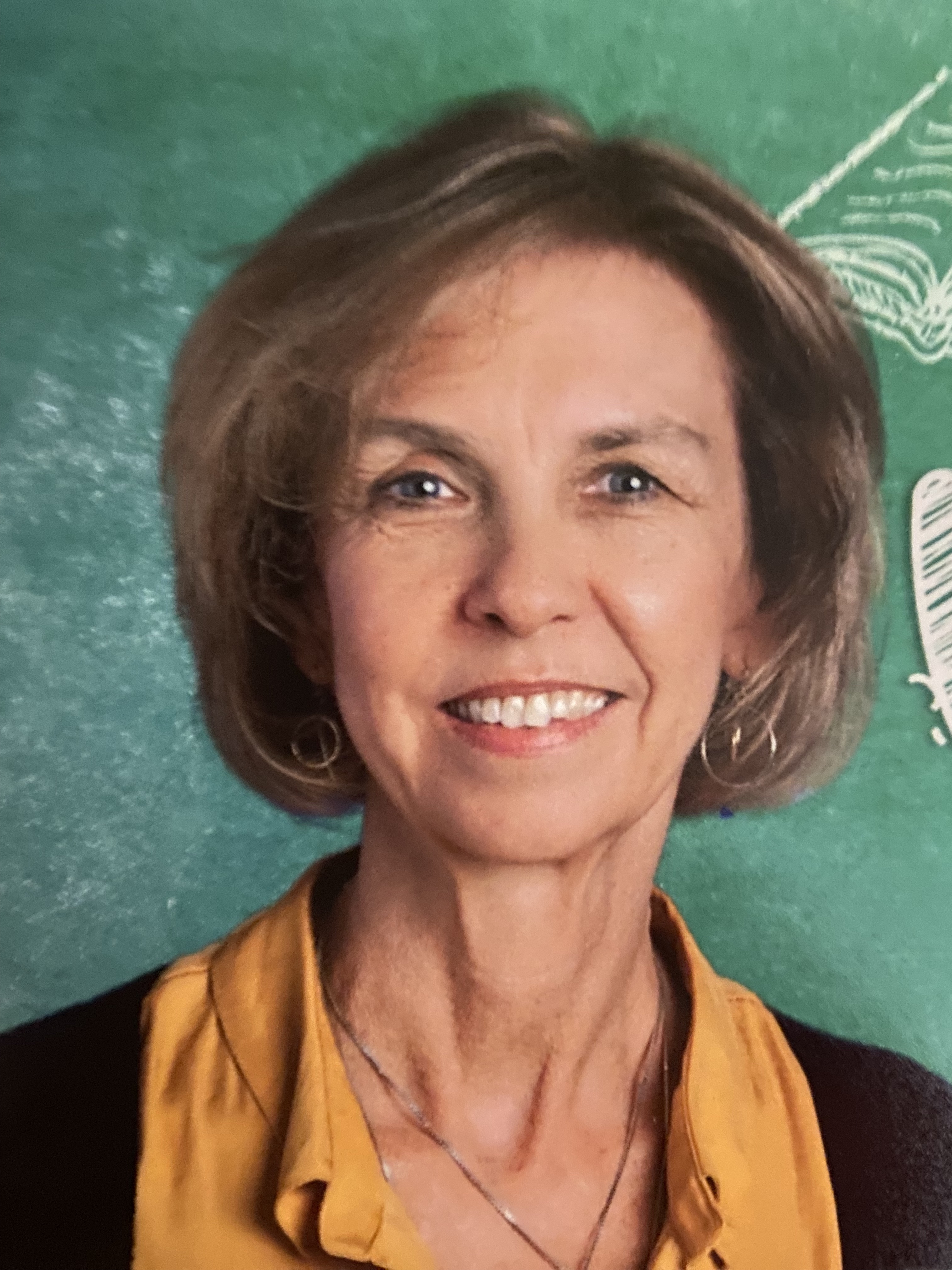 Midcareer teacher Allison Medlin