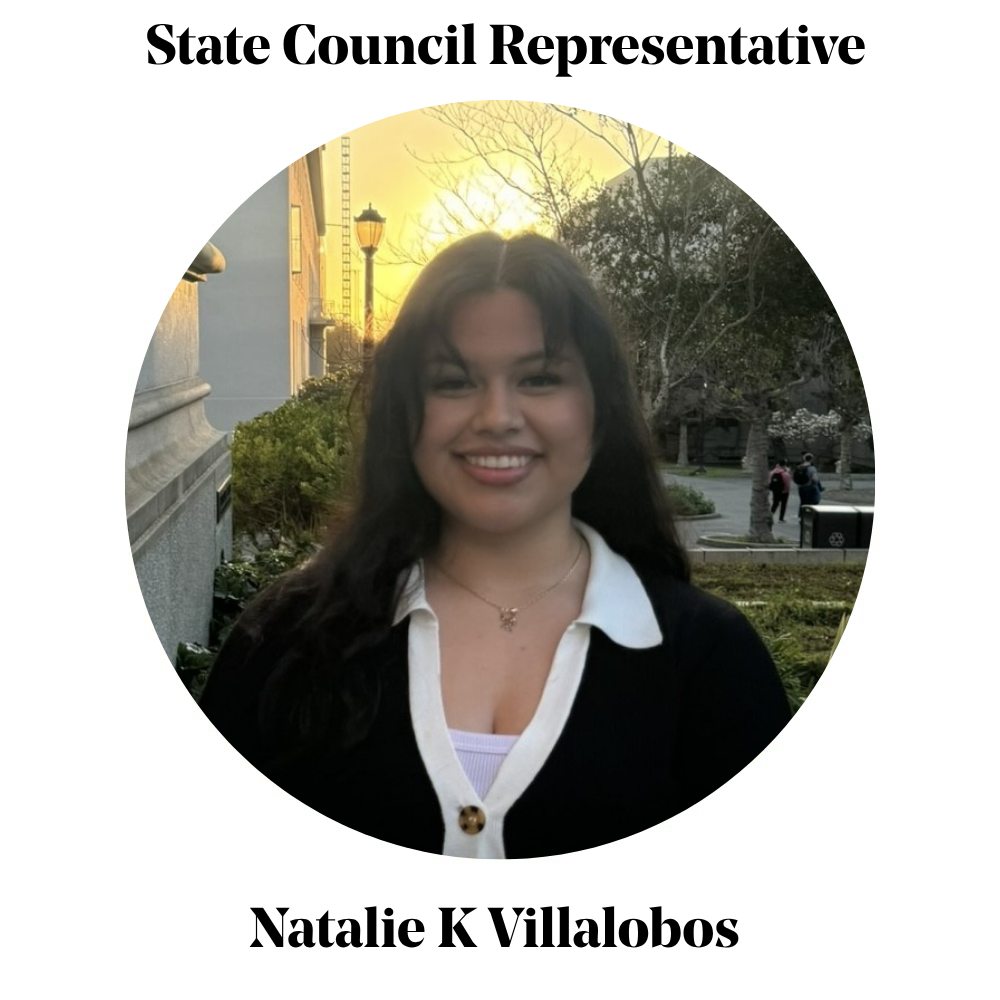 State Council Representative